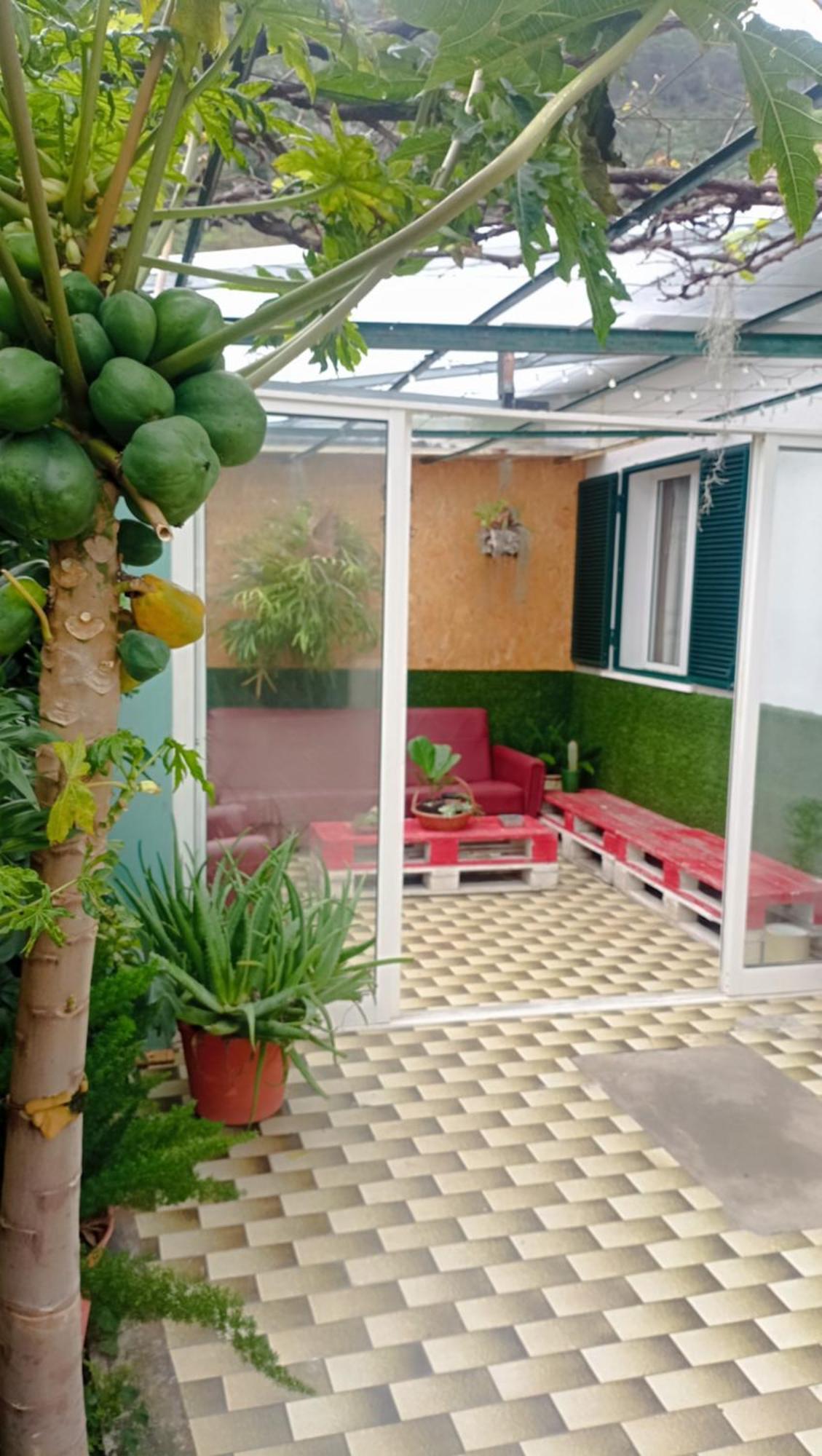 Kanela Guest House Machico  Exterior foto